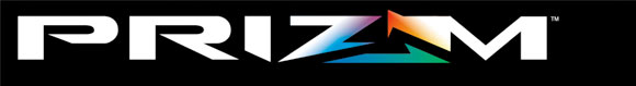 prizm_logo